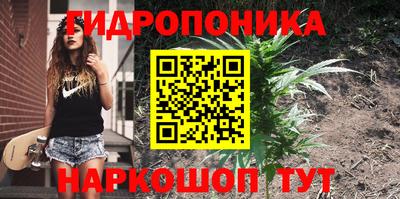 jwh Будённовск