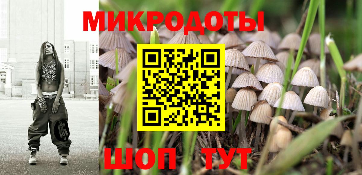 Псилоцибиновые грибы Magic Shrooms Нерюнгри