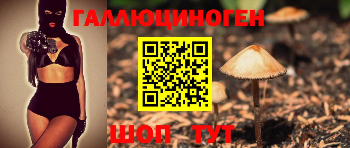 Псилоцибиновые грибы мухоморы  Вход с VPN  Нерюнгри 